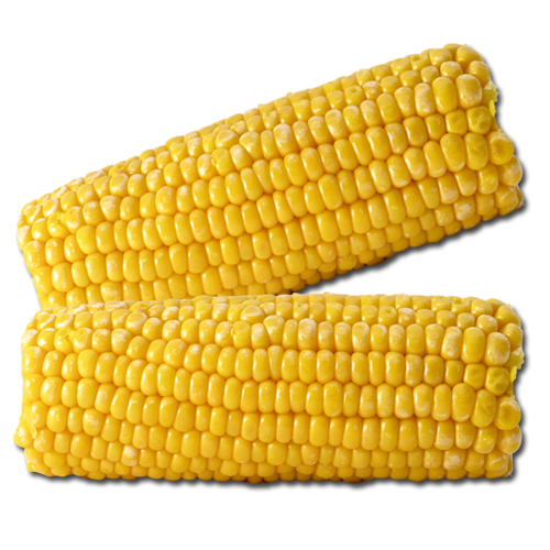 Full Size Corn on the Cob (48 pcs) (11kg)